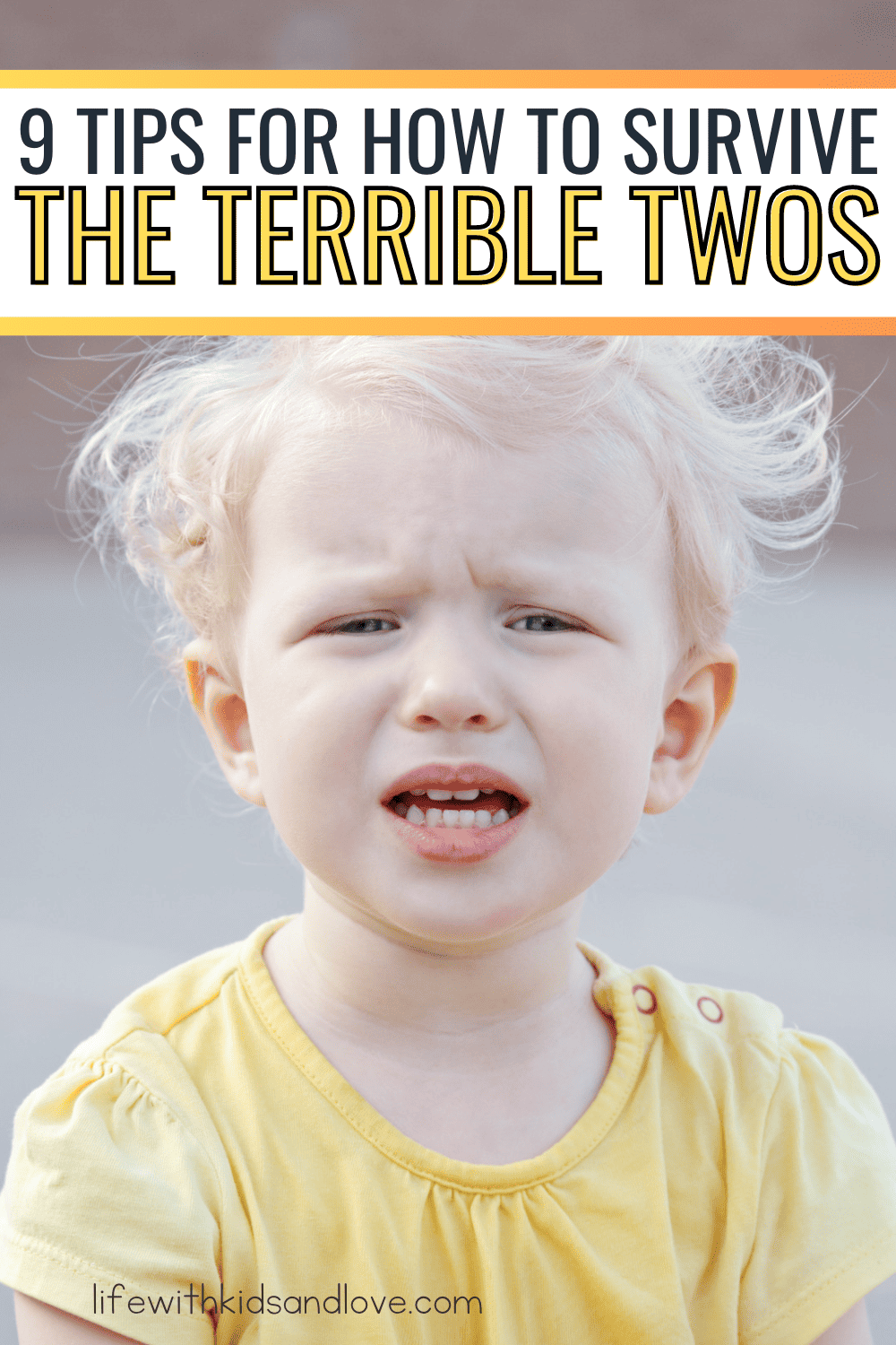How to Survive the Terrible Twos